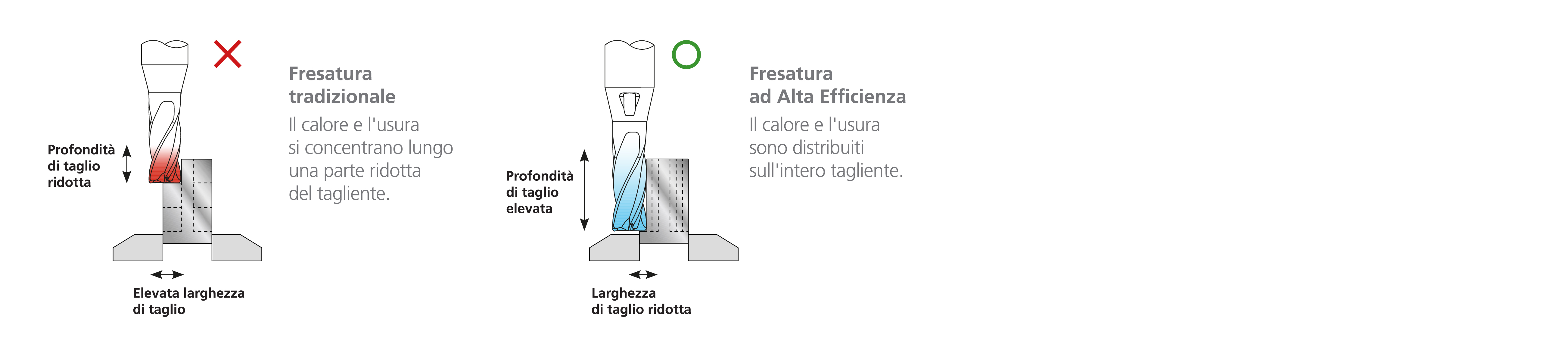 tradizionale vs.  HEM